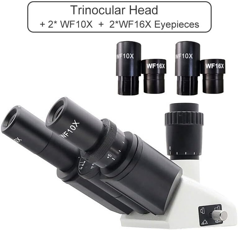 Acessórios para microscópio Microscópio Trinocular Cabeça Monocular Livre Cabeça Binocular Para Microscópio Biológico Com WF10x WF16X Laboratório de Laboratório de Cálculos