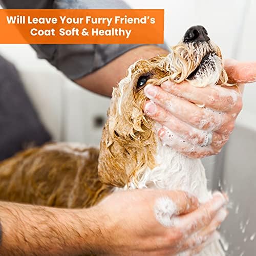 Aroma shampoo e condicionador de cães - shampoo aromático sem lágrimas para limpeza, limpeza e condicionamento - shampoo hidratante para cães e filhotes - vetiver de noz -moscada laranja, 1 galão