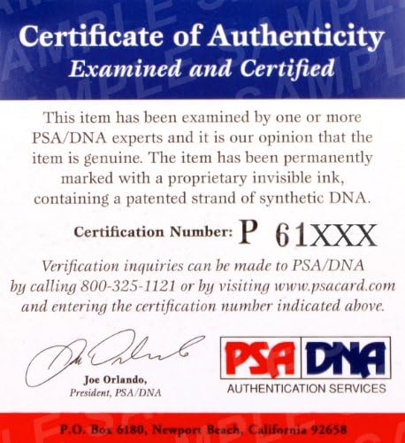 Joe Warren assinou o oficial Everlast MMA Glove PSA/DNA CoA Autograph Bellator 107 - Luvas UFC autografadas
