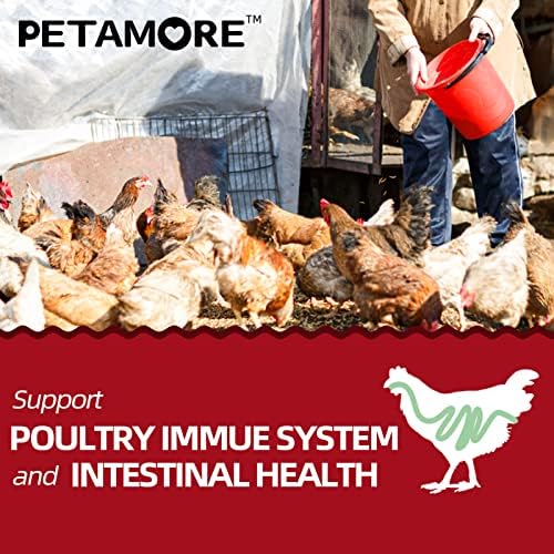 Petamore 36 Pulca Ovo Cartons- juntamente com 5 libras de guloseimas de minhocas da BSFL seco para colocar galinhas,