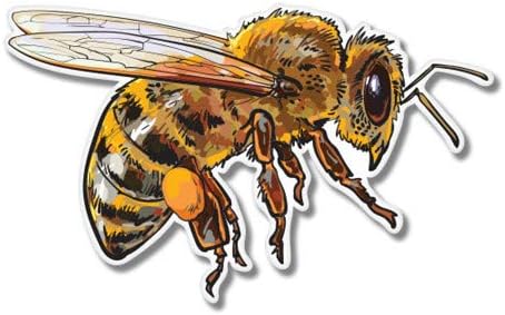 GT Graphics Honey Bee - adesivo de vinil decalque à prova d'água