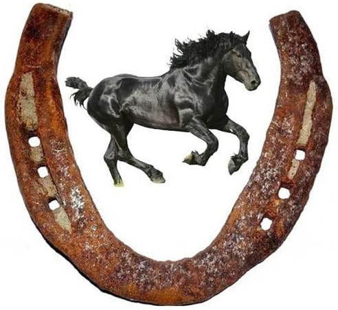 Retailhooks - Minhas sacolas de compras Lucky Horseshoe Black Horse, Cast Horseshoe Wall Decor Original