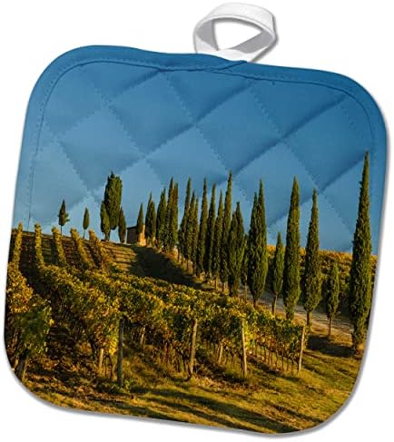3drose Itália, Toscana. Vineyard e árvores toscanas em uma encosta em ... - Potholders