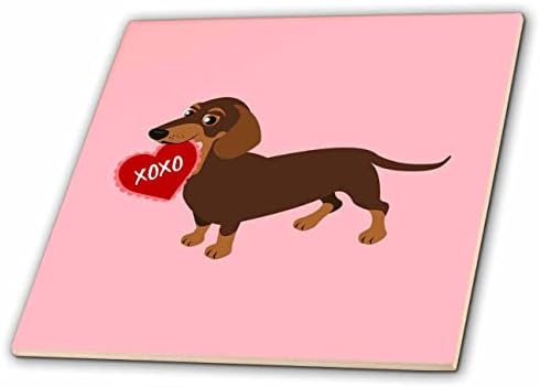 3drose chocolate e bronzeado dachshund Valentine xoxo cão - telhas