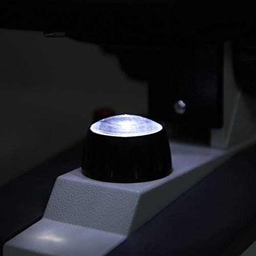 Microscópio de Ciência Biológica Monocular Profissional WF10X 64X-640X UP/Bottom LED LED Science Educational Lab Microscópio monocular doméstico