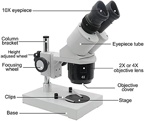 ZHUHW 10X-20X-30X-40X Microscópio estéreo binocular Binocular Microscópio Industrial Iluminado c/ocular para reparo de relógio PCB Inspeção
