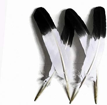6 peças - Black Tipped IMITATION EAGLE Turquia Tom Rounds Wing Secundário Asa Feathers Supplência de artesanato | Pena da luz da lua