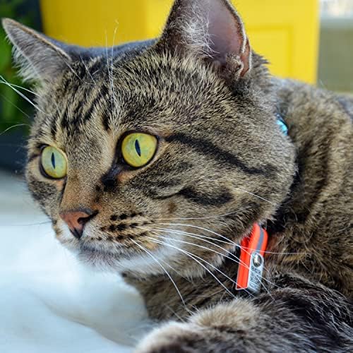 Navitagi Cat Breakaway Collar com etiqueta de identificação de qr mais reflexiva e atualizada. Número personalizado de ID W/ ID, 2