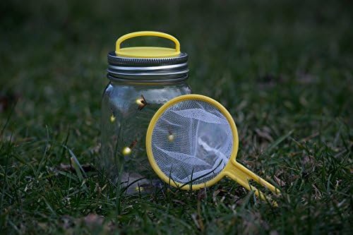 Jarware Firefly Catcher Kit para frascos regulares de pedreiro, amarelo
