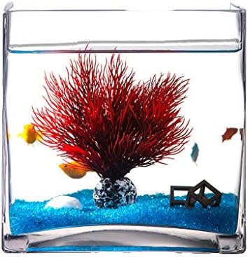 Hanxiaoyishop Fish Bowl Personalidade Criativa Praça de vidro Tanque de peixe Aquário Casa sala de estar com mesa de