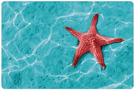 Ambsosonne Starfish Pet Tapete Para comida e água, estrela do mar vermelha no vibrante água do sol azul-água reflexo aquática