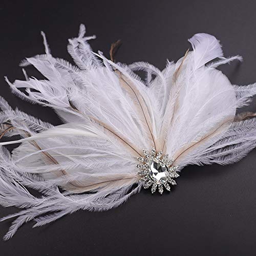 Chmier Bridal 1920s Flapper Feather Clip Pin Crystal Feather Weather Rodove