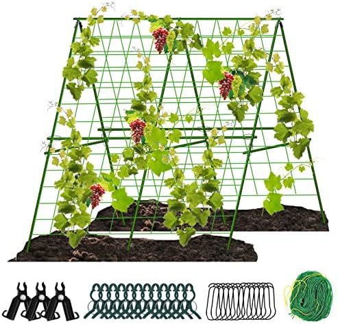 Conjunto de trellis de pepino dobrável de 48 ”x ​​48”, treliça de jardim de quadro A para escalar plantas ao ar livre,