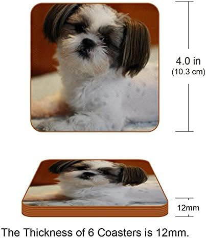 Conjunto de 6 shih tzu cachorro cachorro sem deslizamento tape de tanta comprimido almofadas de proteção de mesa fáceis de limpar