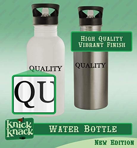 Presentes de Knick Knack Pastel - 20 onças de aço inoxidável garrafa de água, prata