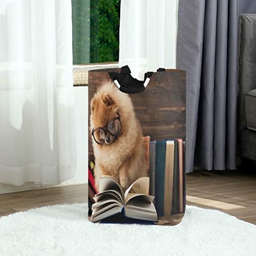 Alaza Funny Dog Book Roupa cesto cesto grande caixa de armazenamento com alças para cestas de presentes, quarto, roupas