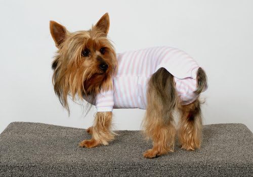 Camisa de cachorro Dogsie, masculino, xx-grande