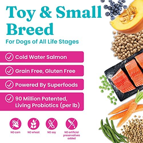 Mini Mini Mini Pequeno Randa Comida - Alimentos para cães secos e pacote de alimentos molhados para qualquer raça de brinquedo