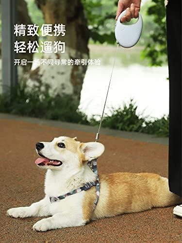 狗狗 牵引绳 自动 伸缩 狗 绳子 狗 链子 coleira de cachorro Cadeia de cachorro de cachorro retrátil automática de cachorro