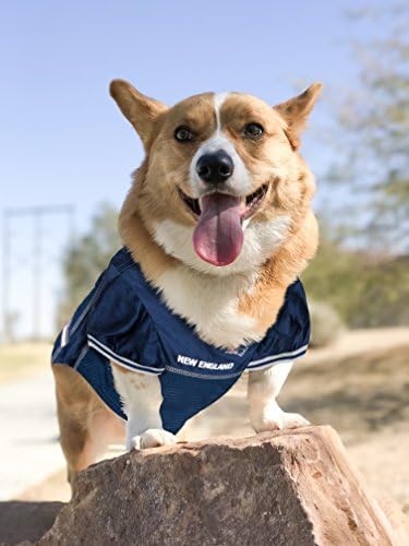 NFL New England Patriots Dog Jersey, Tamanho: Médio. Melhor fantasia de camisa de futebol para cães e gatos. Camisa de