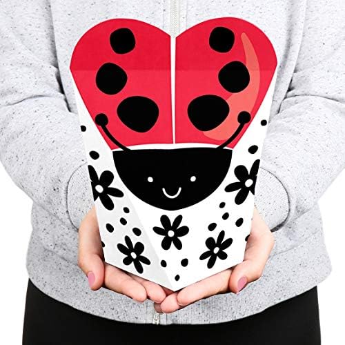 Big Dot of Happiness Little Ladybug - Chá de bebê ou festa de aniversário Favores - Presente em forma de coração Caixas favoritas para mulheres e crianças - Conjunto de 12