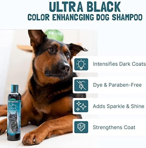 BioH noivo Ultra Black Color Enhancer Shampoo Sem Teto 12 oz
