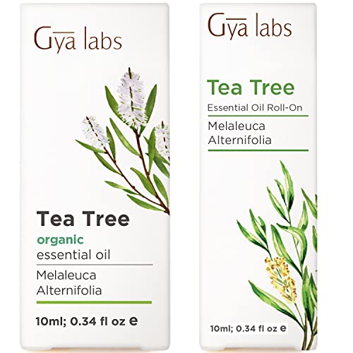 Óleo da árvore do chá para a pele e a árvore do chá no conjunto - de óleos essenciais de grau terapêutico puro - Gya Labs