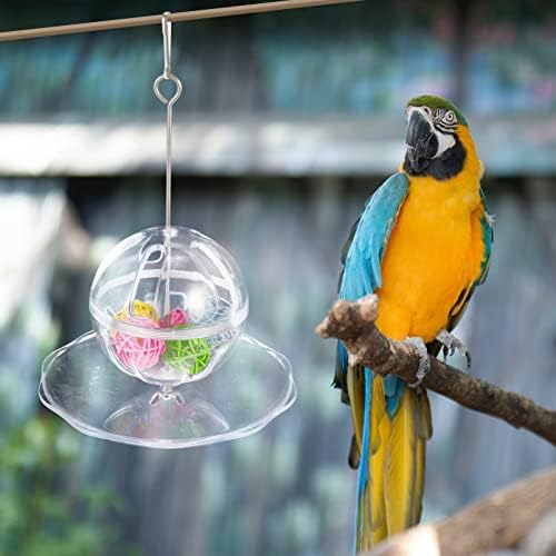 IPETBOOM Bird Toys 1 Definir papagaio para forrageamento alimentador pendurado para alimentação de pássaros Distribuidor Clear Parrot alimentador de brinquedos de brinquedos com Rattan Bird Intelligence Growth Cage Toy para Home Shop Pequet Toys