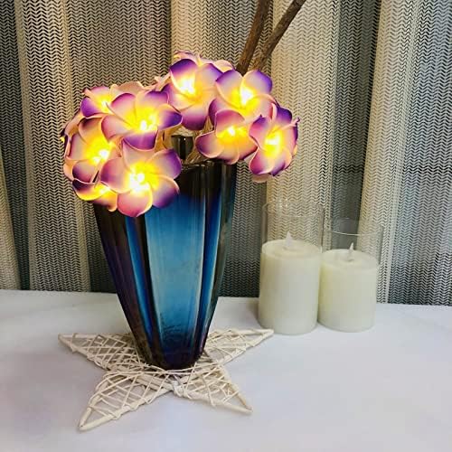 Sezrgiu Plumeria artificial String String Light Hawaiian Foam Frangipani Fairy Fairy Light Bateria alimentada para o casamento