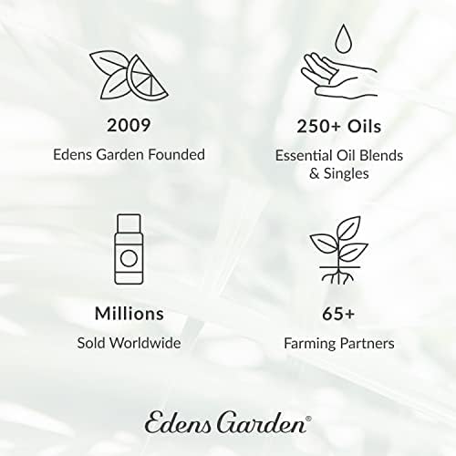 Edens Garden Good Hum humor Óleo essencial 3 Conjunto, Melhor Kit puro de aromaterapia