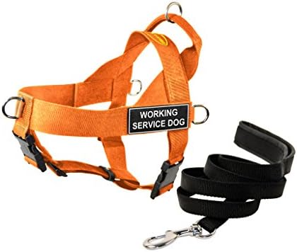 Dean e Tyler DT Universal No Pull Dog Harness com remendos de cães de serviço de trabalho e coleira, laranja, grande