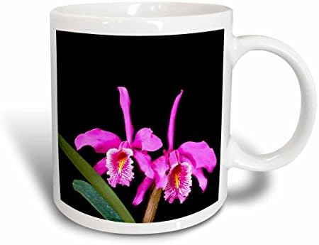 3drose Mug_62502_1 Orquídeas rosa quente em caneca de cerâmica preta, 11 onças