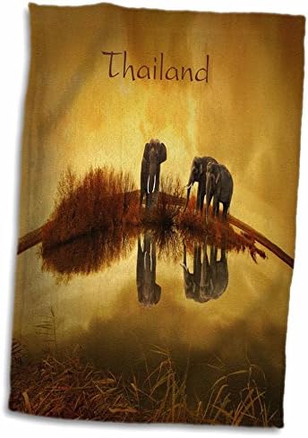 3d Rose Image of Elephants na Tailândia refletida na toalha de mão de água, 15 x 22
