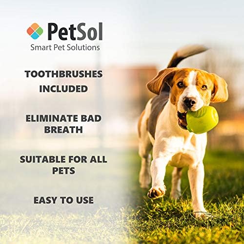 Kit de atendimento odontológico PetSol para cães melhora a higiene oral impede doenças gengíveis e placa
