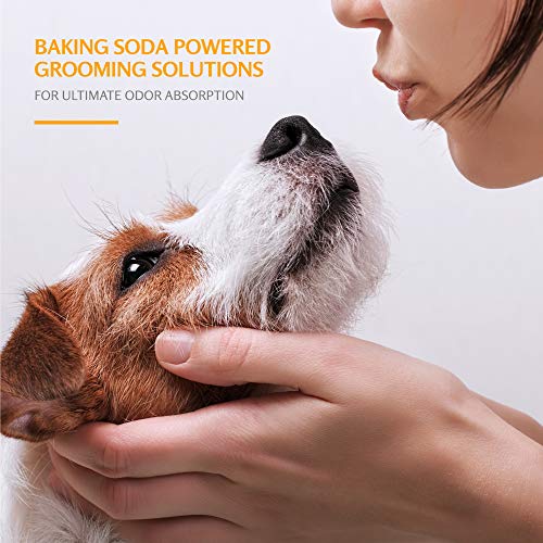 Arm & Hammer for Pets Super desodorizando shampoo para cães | Melhor odor eliminando o shampoo de cachorro | Ótimo para todos os cães e filhotes, perfume fresco de flor Kiwi, 20 fl oz