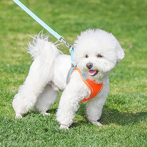 Vefsu malha macia cães e coleira definida para caminhar de verão no arnês bandas reflexivas ajustáveis ​​sem suprimentos para