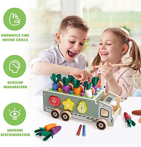 Crianças Montessori Toys educacionais de madeira para meninos Meninas moldam brinquedos de triagem para crianças 2-4 Brinquedos