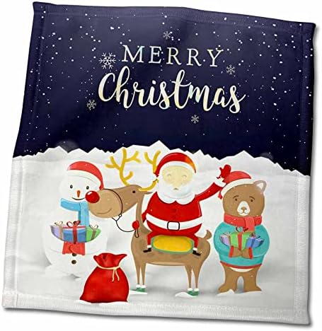 3drose Feliz Natal -Santa Claus, amigos da floresta na noite de inverno - toalhas