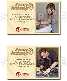 Chris Hemsworth e Tom Hiddleston autografaram 27 × 40 Thor: The Dark World Original Poster