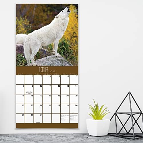 TF Publishing Wolves Mini Calendário 2023 | 2023 Calendário de parede 12 meses | Grande Grade 2023 Parede do calendário | Calendário