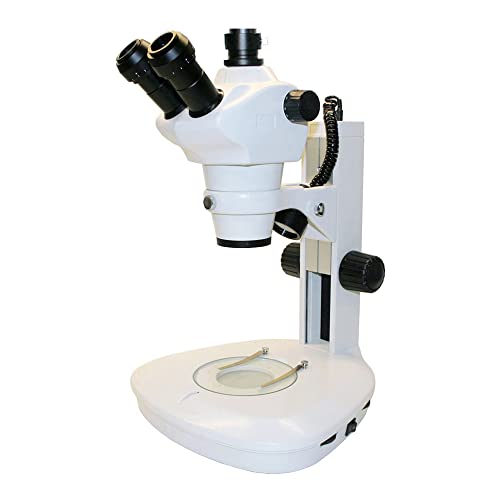 Microscópio de zoom estéreo QZC de produtos Walter, Binocular, 8x a 50x, LED, 110V