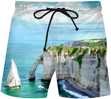 Shorts para homens shorts soltos ajuste 3d imprimido havaiano roupas de praia troncos de malha forro de malha básica de