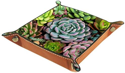 Lyetny suculenta cactus suculents organizador bandeja de armazenamento caixa de cabeceira bandeja de desktop bandeja
