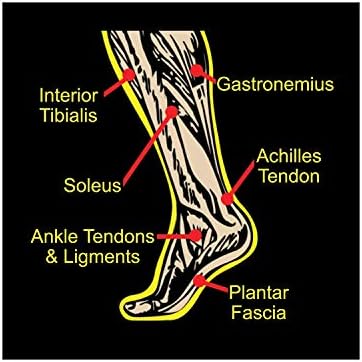 North American Health + Wellness Foot Rocker -Posição ideal para o pé para flexibilidade, fascite plantar, tendinite de Aquiles