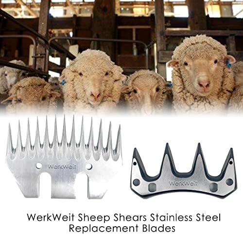 Petierweit ovelha tesouras lâminas 2pcs ovelha profissional CLIPPER SUPLUIÇÃO DE LABRE SUBSTITUIÇÃO PELAS DE ALENTES