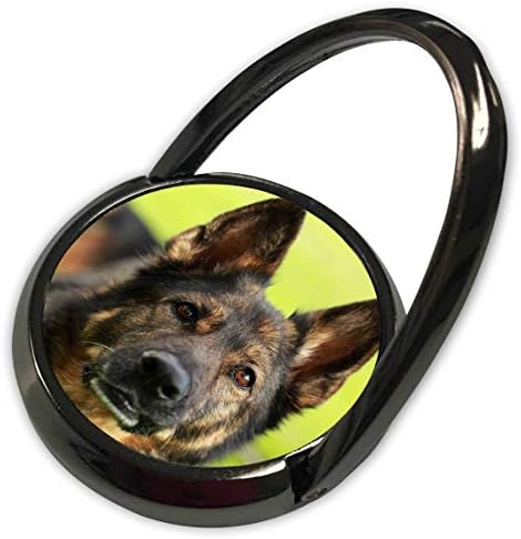 3drose Stamp City - Animais - Fotografia de um cão de pastor alemão esperando intensamente por sua bola. - Toque do telefone