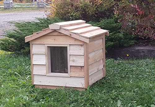 Pequena casa de cães de cães de cedro isolado