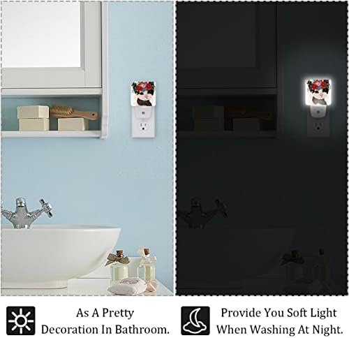 Rodailycay sensor leve à noite Luz fofa Flor de gato, 2 pacotes de luzes noturnas se conectam na parede, luminosas led