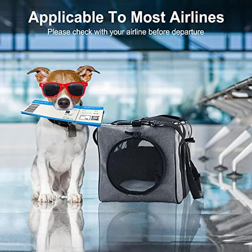 Portador aéreo de transportadora de animais de estimação da Bedelite aprovada, portátil portátil portátil para cães para cães