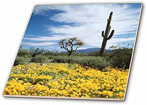 3D Rose Organ Pipe Cactus Flores silvestres em torno de um cacto saguaro no deserto, multicolor